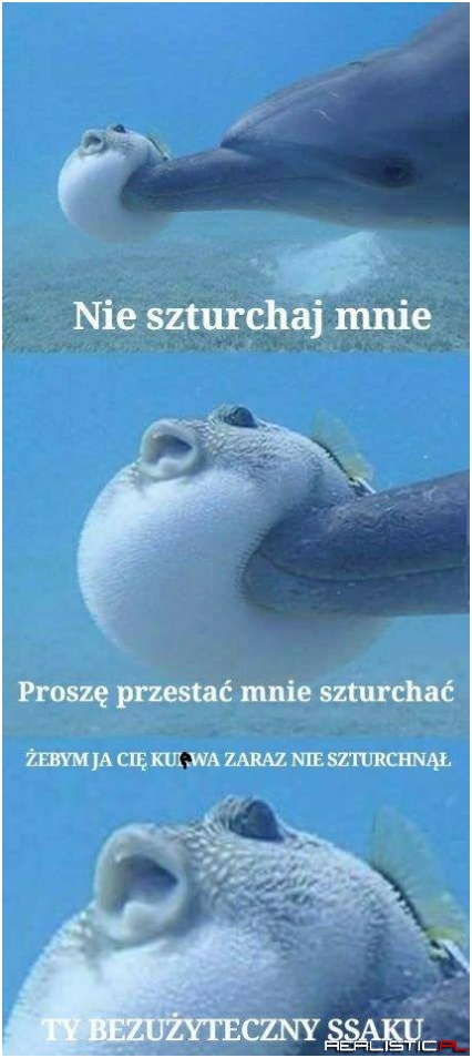 Spadaj!