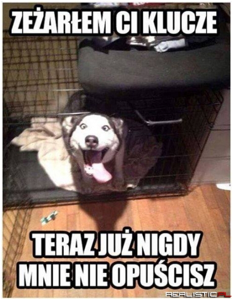 Taka sytuacja xD