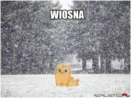 Taka wiosna...