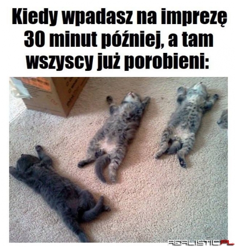 To była dobra impreza