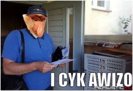 To jest cyrk!
