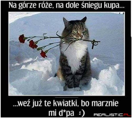 Trochę inna wersja ;)