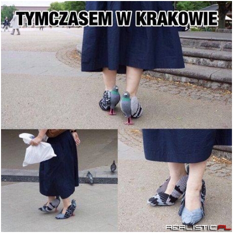 Tymczasem w Krakowie