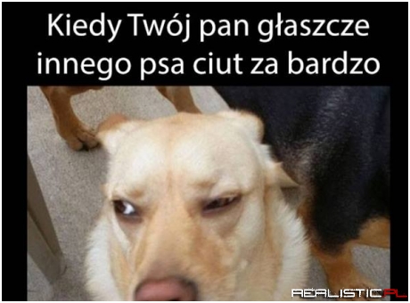 Zazdrośnik ;)