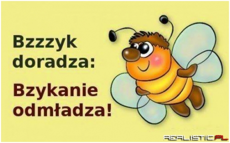 Zdecydowanie