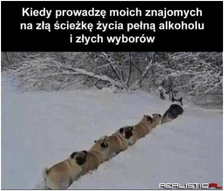 Zła ścieżka