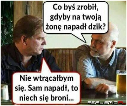 Żona vs dzik