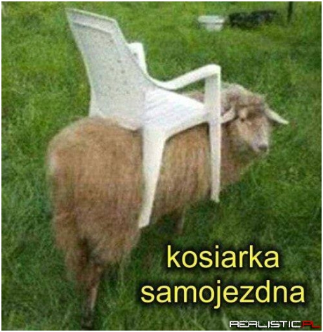 Dobre xD