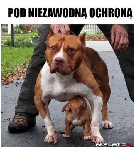 Strach się bać ;)