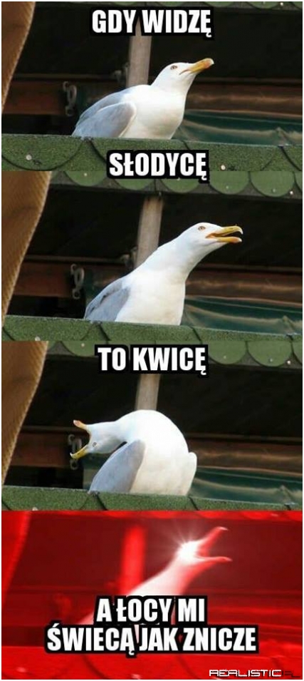 To o mnie xD