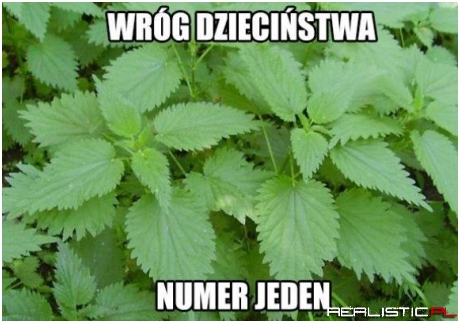 Zgadza się